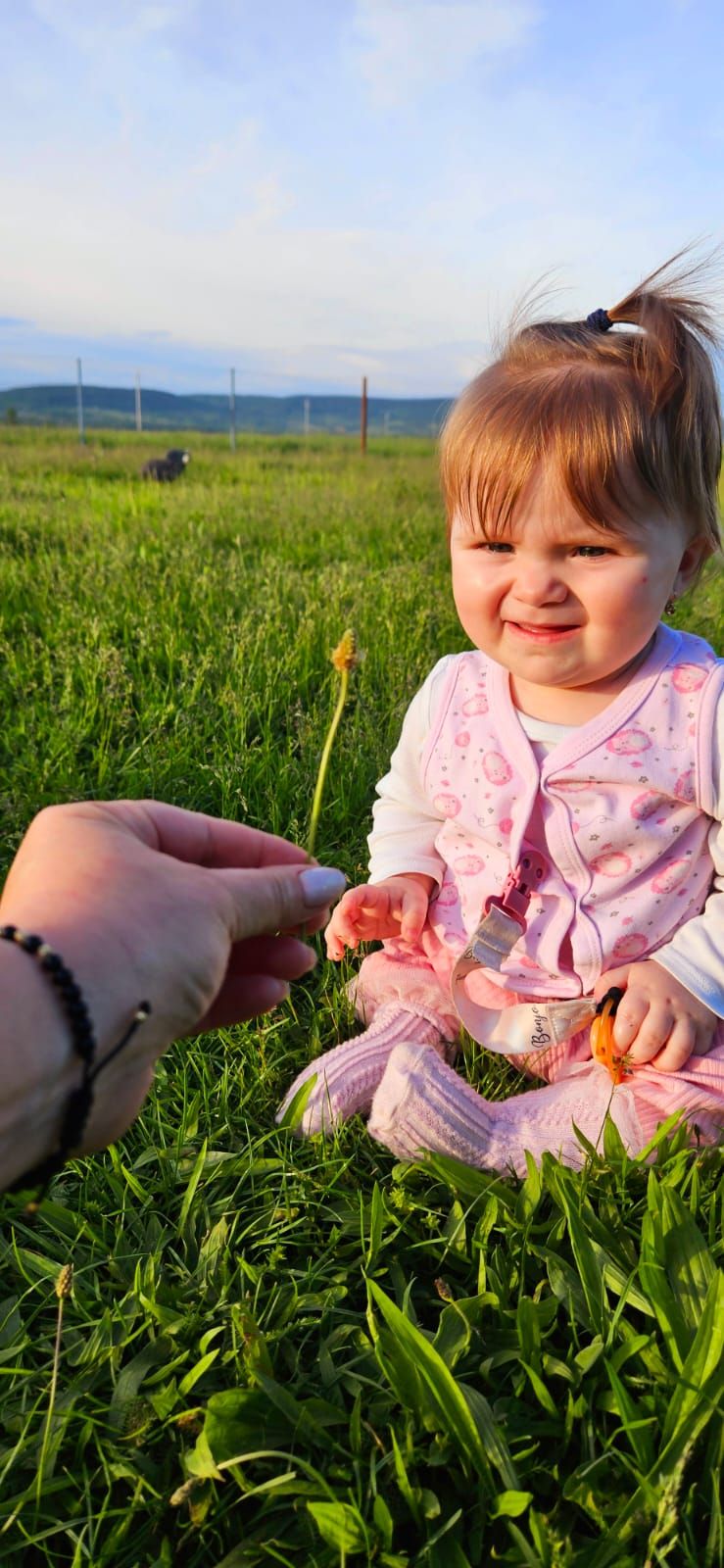 Asociația „ILINCA ANTONIA